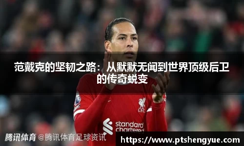 范戴克的坚韧之路：从默默无闻到世界顶级后卫的传奇蜕变