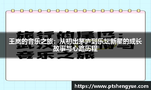 王岚的音乐之旅：从初出茅庐到乐坛新星的成长故事与心路历程