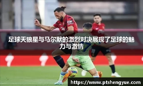 足球天狼星与马尔默的激烈对决展现了足球的魅力与激情